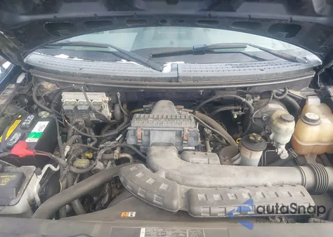 2005 Ford F-150 Fx4/Lariat/Xl/Xlt from USA, damaged, VIN 1FTPX145X5NB94455